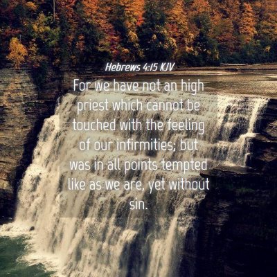 Picture 04 - Hebrews 4:15 KJV - For we have not an high priest which cannot be - Bible Verse Picture