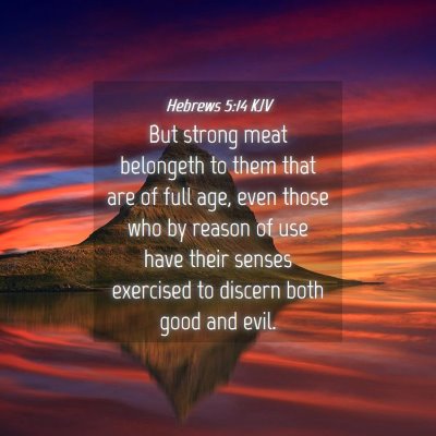Picture 04 - Hebrews 5:14 KJV - But strong meat belongeth to them that are of - Bible Verse Picture