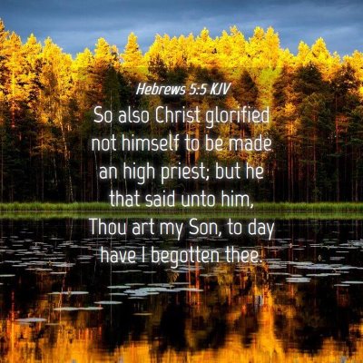Picture 04 - Hebrews 5:5 KJV - So also Christ glorified not himself to be made - Bible Verse Picture