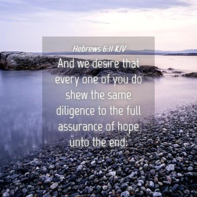 Picture 04 - Hebrews 6:11 KJV - And we desire that every one of you do shew the - Bible Verse Picture