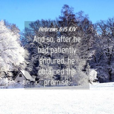Picture 04 - Hebrews 6:15 KJV - And so, after he had patiently endured, he - Bible Verse Picture