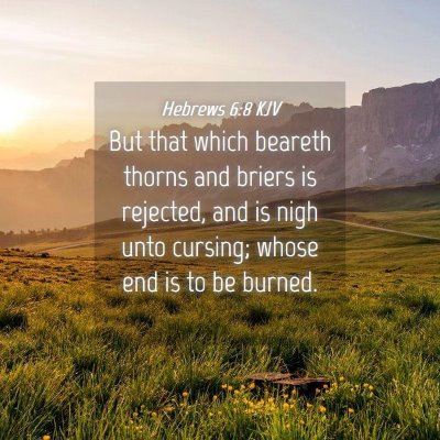 Picture 04 - Hebrews 6:8 KJV - But that which beareth thorns and briers is - Bible Verse Picture
