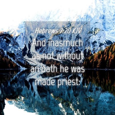 Picture 04 - Hebrews 7:20 KJV - And inasmuch as not without an oath he was made - Bible Verse Picture