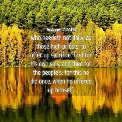 Picture 04 - Hebrews 7:27 KJV - Who needeth not daily, as those high priests, to - Bible Verse Picture