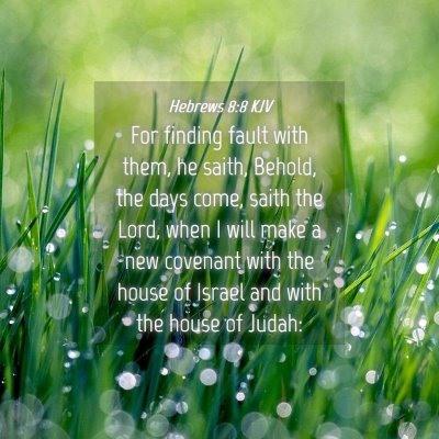 Picture 04 - Hebrews 8:8 KJV - For finding fault with them, he saith, Behold, - Bible Verse Picture