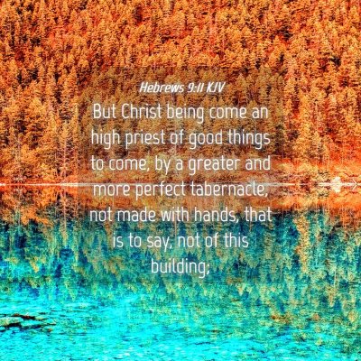 Picture 04 - Hebrews 9:11 KJV - But Christ being come an high priest of good - Bible Verse Picture