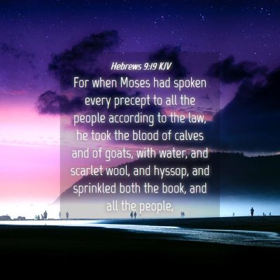 Picture 04 - Hebrews 9:19 KJV - For when Moses had spoken every precept to all - Bible Verse Picture