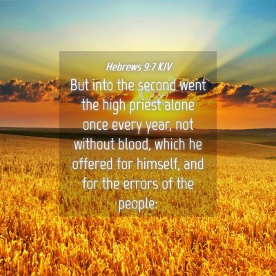 Picture 04 - Hebrews 9:7 KJV - But into the second went the high priest alone - Bible Verse Picture