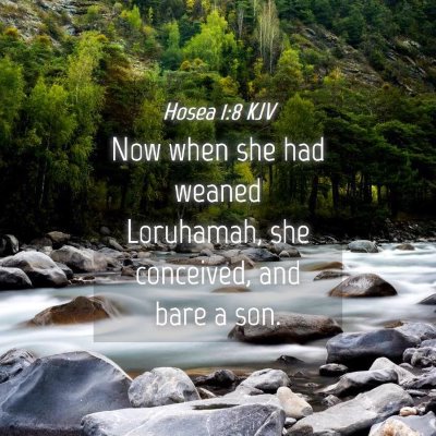 Picture 04 - Hosea 1:8 KJV - Now when she had weaned Loruhamah, she conceived, - Bible Verse Picture
