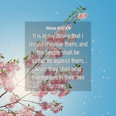 Picture 04 - Hosea 10:10 KJV - It is in my desire that I should chastise them; - Bible Verse Picture