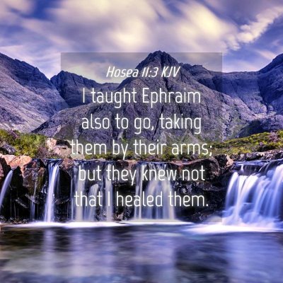 Picture 04 - Hosea 11:3 KJV - I taught Ephraim also to go, taking them by their - Bible Verse Picture