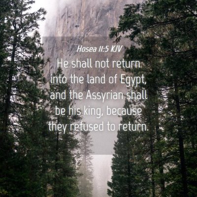 Picture 04 - Hosea 11:5 KJV - He shall not return into the land of Egypt, and - Bible Verse Picture