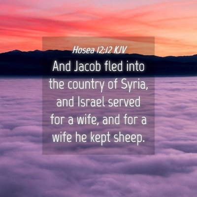 Picture 04 - Hosea 12:12 KJV - And Jacob fled into the country of Syria, and - Bible Verse Picture