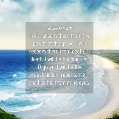 Picture 04 - Hosea 13:14 KJV - I will ransom them from the power of the grave; I - Bible Verse Picture