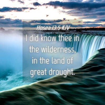 Picture 04 - Hosea 13:5 KJV - I did know thee in the wilderness, in the land of - Bible Verse Picture