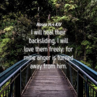Picture 04 - Hosea 14:4 KJV - I will heal their backsliding, I will love them - Bible Verse Picture