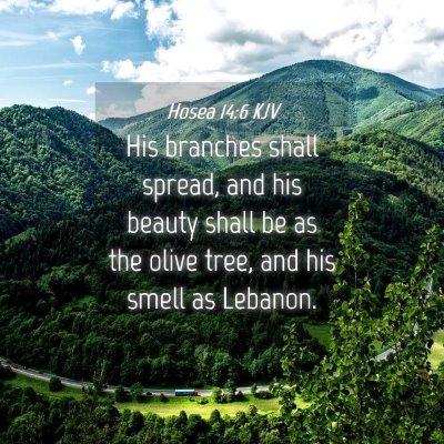 Picture 04 - Hosea 14:6 KJV - His branches shall spread, and his beauty shall - Bible Verse Picture