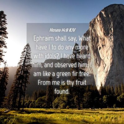 Picture 04 - Hosea 14:8 KJV - Ephraim shall say, What have I to do any more - Bible Verse Picture