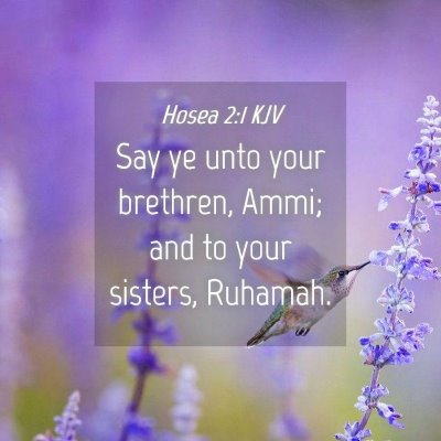 Picture 04 - Hosea 2:1 KJV - Say ye unto your brethren, Ammi; and to your - Bible Verse Picture