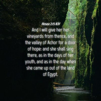 Picture 04 - Hosea 2:15 KJV - And I will give her her vineyards from thence, - Bible Verse Picture