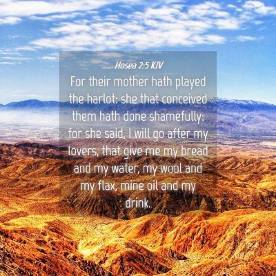 Picture 04 - Hosea 2:5 KJV - For their mother hath played the harlot: she that - Bible Verse Picture