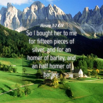 Picture 04 - Hosea 3:2 KJV - So I bought her to me for fifteen pieces of - Bible Verse Picture