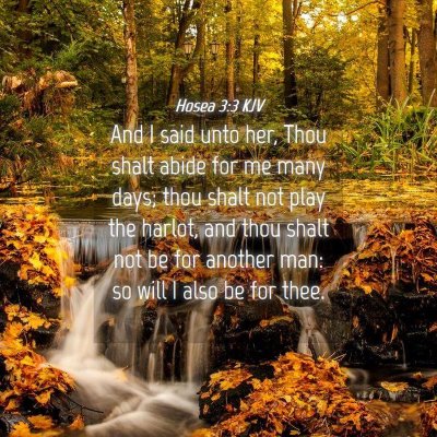 Picture 04 - Hosea 3:3 KJV - And I said unto her, Thou shalt abide for me many - Bible Verse Picture