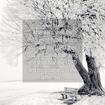 Picture 04 - Hosea 3:5 KJV - Afterward shall the children of Israel return, - Bible Verse Picture