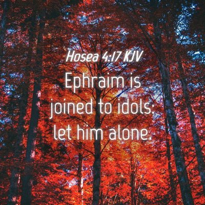 Picture 04 - Hosea 4:17 KJV - Ephraim is joined to idols: let him - Bible Verse Picture