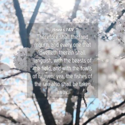 Picture 04 - Hosea 4:3 KJV - Therefore shall the land mourn, and every one - Bible Verse Picture