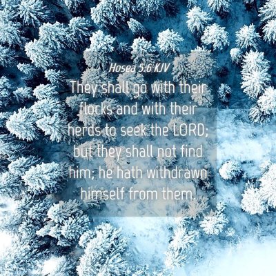 Picture 04 - Hosea 5:6 KJV - They shall go with their flocks and with their - Bible Verse Picture