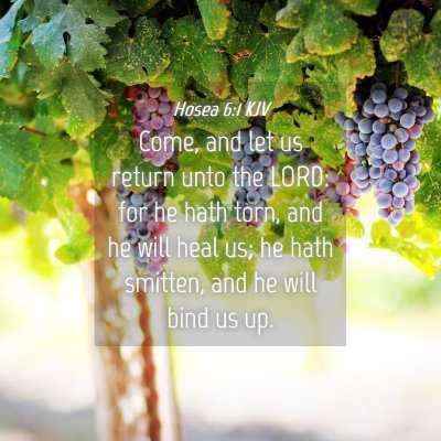 Picture 04 - Hosea 6:1 KJV - Come, and let us return unto the LORD: for he - Bible Verse Picture