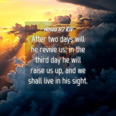 Picture 04 - Hosea 6:2 KJV - After two days will he revive us: in the third - Bible Verse Picture