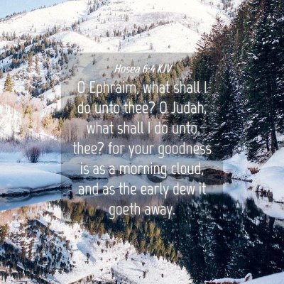 Picture 04 - Hosea 6:4 KJV - O Ephraim, what shall I do unto thee? O Judah, - Bible Verse Picture