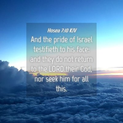 Picture 04 - Hosea 7:10 KJV - And the pride of Israel testifieth to his face: - Bible Verse Picture