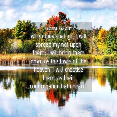 Picture 04 - Hosea 7:12 KJV - When they shall go, I will spread my net upon - Bible Verse Picture