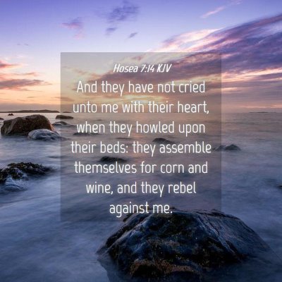 Picture 04 - Hosea 7:14 KJV - And they have not cried unto me with their heart, - Bible Verse Picture