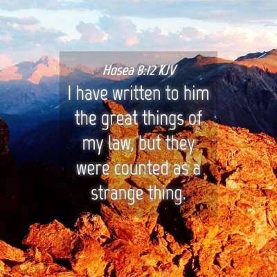 Picture 04 - Hosea 8:12 KJV - I have written to him the great things of my law, - Bible Verse Picture