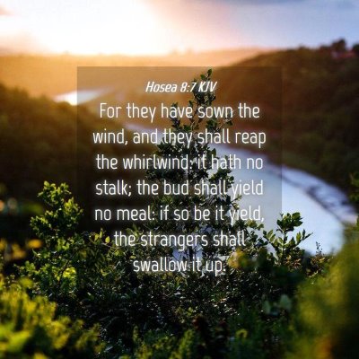 Picture 04 - Hosea 8:7 KJV - For they have sown the wind, and they shall reap - Bible Verse Picture