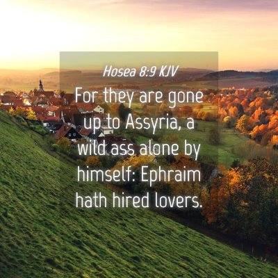 Picture 04 - Hosea 8:9 KJV - For they are gone up to Assyria, a wild ass alone - Bible Verse Picture