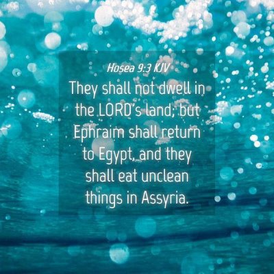 Picture 04 - Hosea 9:3 KJV - They shall not dwell in the LORD's land; but - Bible Verse Picture