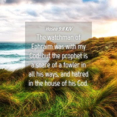 Picture 04 - Hosea 9:8 KJV - The watchman of Ephraim was with my God: but the - Bible Verse Picture