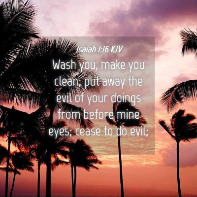 Picture 04 - Isaiah 1:16 KJV - Wash you, make you clean; put away the evil of - Bible Verse Picture