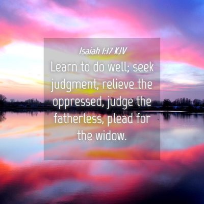Picture 04 - Isaiah 1:17 KJV - Learn to do well; seek judgment, relieve the - Bible Verse Picture