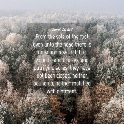 Picture 04 - Isaiah 1:6 KJV - From the sole of the foot even unto the head - Bible Verse Picture