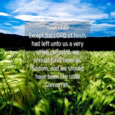 Picture 04 - Isaiah 1:9 KJV - Except the LORD of hosts had left unto us a very - Bible Verse Picture