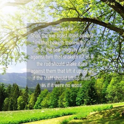 Picture 04 - Isaiah 10:15 KJV - Shall the axe boast itself against him that - Bible Verse Picture