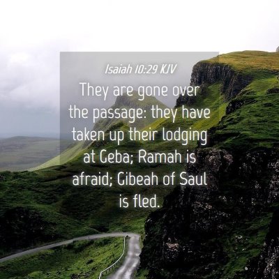 Picture 04 - Isaiah 10:29 KJV - They are gone over the passage: they have taken - Bible Verse Picture