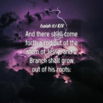 Picture 04 - Isaiah 11:1 KJV - And there shall come forth a rod out of the stem - Bible Verse Picture