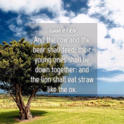 Picture 04 - Isaiah 11:7 KJV - And the cow and the bear shall feed; their young - Bible Verse Picture